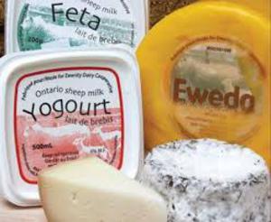 Sheep Milk  Products (Cheese, Yogurt etc.)